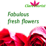 the clare florist shop website